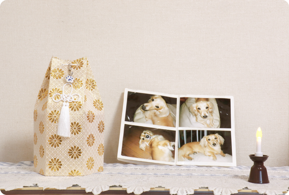 個別火葬プラン